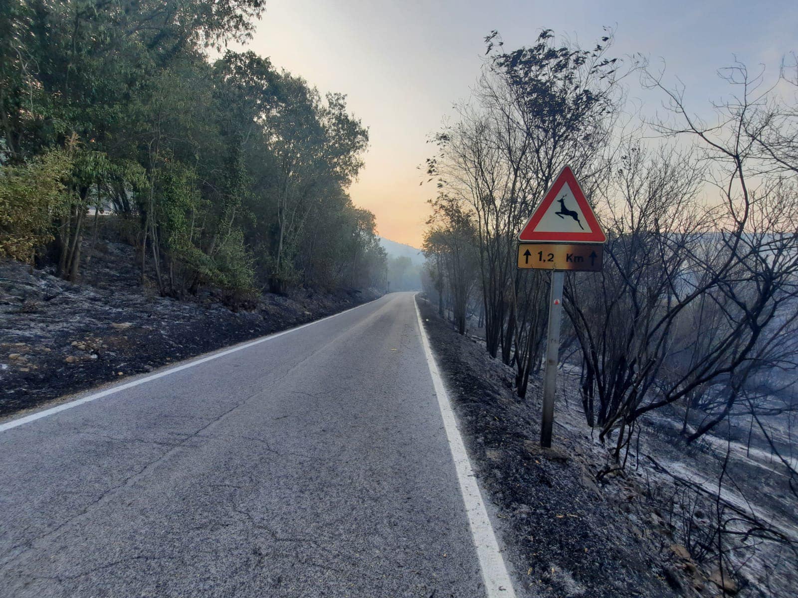 Carso e crisi climatica, a Doberdò un incontro su come gestire la situazione